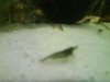 DSC00169.JPG
