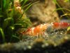 k-IMG_6650.JPG
