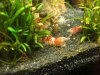 k-IMG_6655.JPG