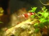 k-IMG_6693.JPG