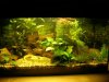 60 Liter.jpg
