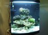 aquarium 4.jpg