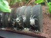 DSCF6109.jpg