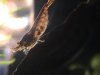 DSC00057.JPG