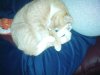 DSC00228.JPG