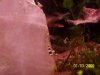k-000_0111.jpg