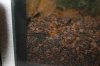 IMG_4483+2.JPG