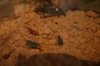 IMG_4496+2.JPG