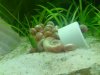 DSC01966.JPG