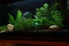 60 Liter-Becken.jpg