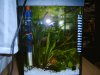 IMG00099.JPG