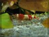 comp_IMG_3993.jpg