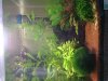 18032009_002.jpg