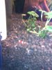 Aquarium 013.jpg