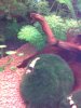 Aquarium 008.jpg