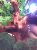 Aquarium 007.jpg