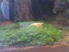 DSC00424.JPG