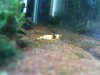 DSC00425.JPG