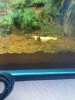DSC00472.JPG