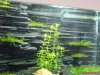 DSC01026.JPG