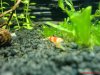 DSC01028.JPG