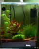 Nanocube Maerz 1-09.jpg