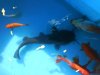 DSC00201.JPG