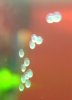 DSCN3103.JPG
