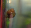 DSCN3107.JPG
