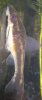 DSCN3116.JPG