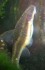 DSCN3120.JPG