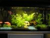 TV-Aquarium-Neuheit.jpg