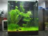 Nano Cube 002.JPG