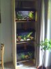 IMAGE_00002.jpg