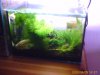 IMAGE_00005.jpg