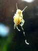 2009_0405Aquarium0042.JPG