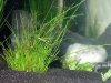 2009_0405Aquarium0025.JPG