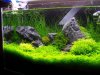 000_0158.jpg