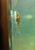 DSCN3205.JPG
