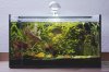 45L.jpg