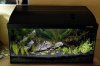 54L.jpg