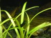 DSC03568.JPG