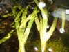 DSC00714.jpg