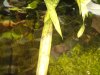 DSC00715.jpg