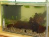 25l becken neu.JPG