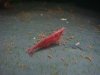 DSC06517.JPG