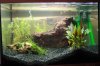 Becken1_bearbeitet-3.jpg