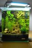 K800_DSC_5446.JPG