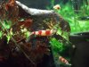 DSCF6191.jpg