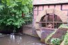 20090509_1339.jpg